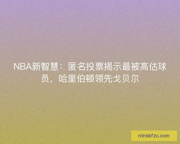 NBA新智慧:匿名投票揭示最被高估球员,哈里伯顿领先戈贝尔 NBA新智慧:匿名投票揭示最被高估球员,哈里伯顿领先戈贝尔